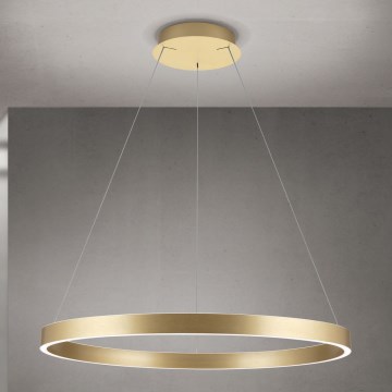Orion - Suspension LED dimmable sur câble KOLK LED/80W/230V 2700/3000/4000K diam. 80 cm dorée