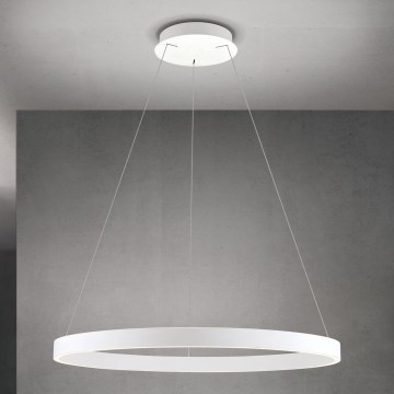 Orion - Suspension LED dimmable sur câble KOLK LED/80W/230V 2700/3000/4000K diamètre 80 cm blanc