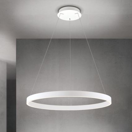 Suspension LED dimmable sur câble KOLK LED/80W/230V 2700/3000/4000K diamètre 80 cm blanc