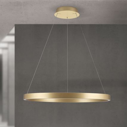 Suspension LED dimmable sur câble KOLK LED/80W/230V 2700/3000/4000K diam. 80 cm dorée