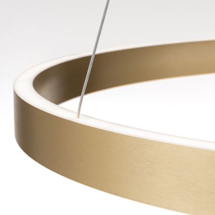 Suspension LED dimmable sur câble KOLK LED/80W/230V 2700/3000/4000K diam. 80 cm dorée