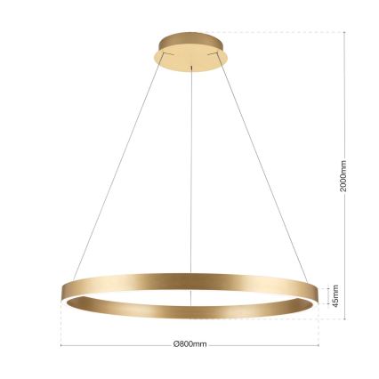 Suspension LED dimmable sur câble KOLK LED/80W/230V 2700/3000/4000K diam. 80 cm dorée