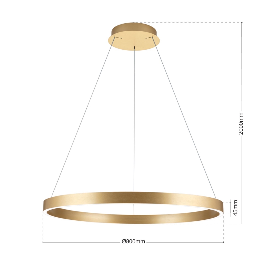 Suspension LED dimmable sur câble KOLK LED/80W/230V 2700/3000/4000K diam. 80 cm dorée