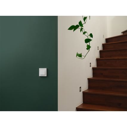 Osram - Interrupteur à 2 boutons SMART+ MATTER 230 V Wi‑Fi