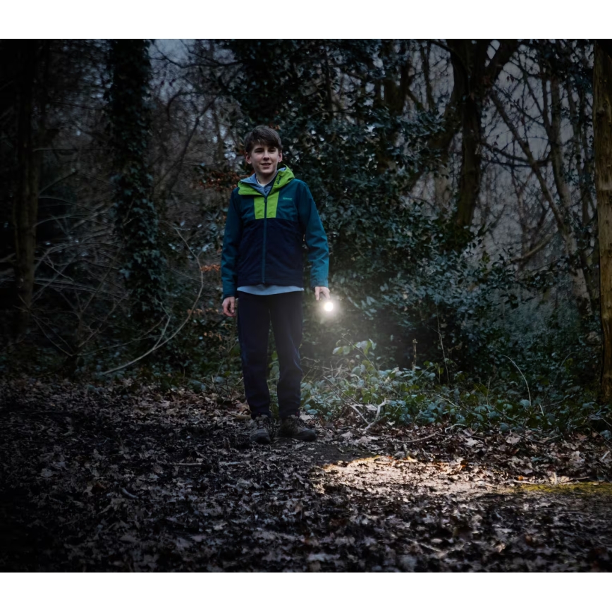 Osram - Lampe torche LED dimmable LEDINSPECT TORCH 350 ESSENTIAL LED/4W/2xAAA IP44