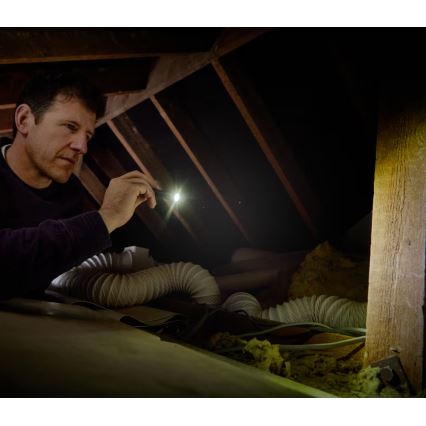 Osram - Torche LED dimmable LEDINSPECT TORCH 250 ESSENTIAL LED/2W/2xAAA IP44