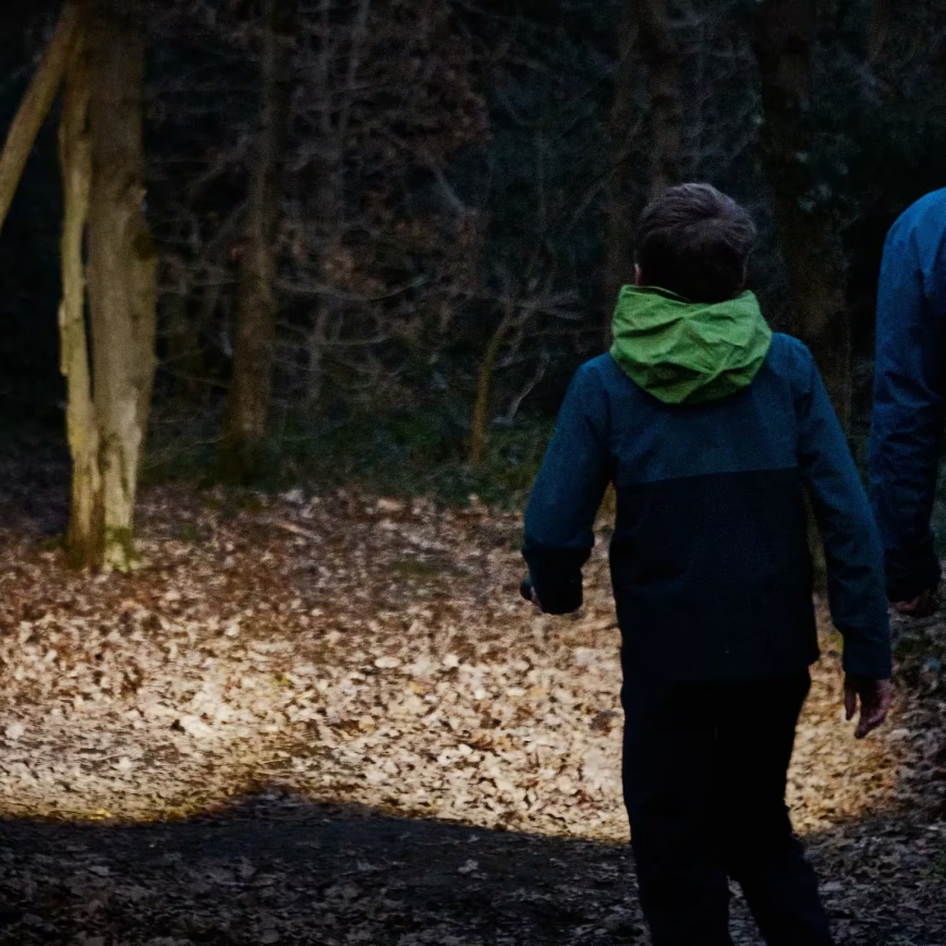 Osram - Lampe de poche LED à intensité variable LEDINSPECT TORCH 450 ESSENTIAL LED/6W/3xAAA IP44