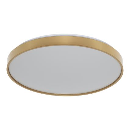 Osram - Plafonnier CEILING LUXO LED/36W/230V Ø 49 cm, finition dorée