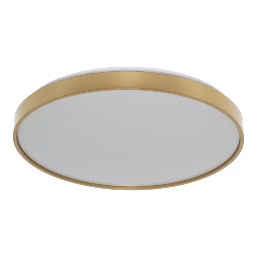 Osram - Plafonnier CEILING LUXO LED/36W/230V Ø 49 cm, finition dorée