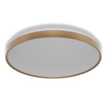 Osram - Plafonnier LED CEILING LUXO, 60 W / 230 V, Ø 56 cm, doré