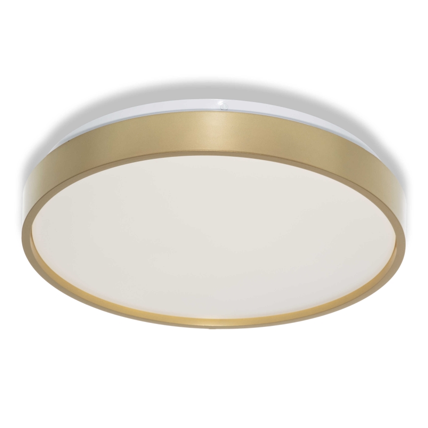 Osram - Plafonnier LED CEILING LUXO LED/18W/230V Ø 32 cm doré