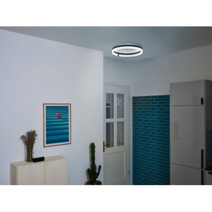 Osram - Plafonnier LED DECOR CIRCLE LED/32W/230V 3000/4000/6500K Ø 50 cm noir/blanc