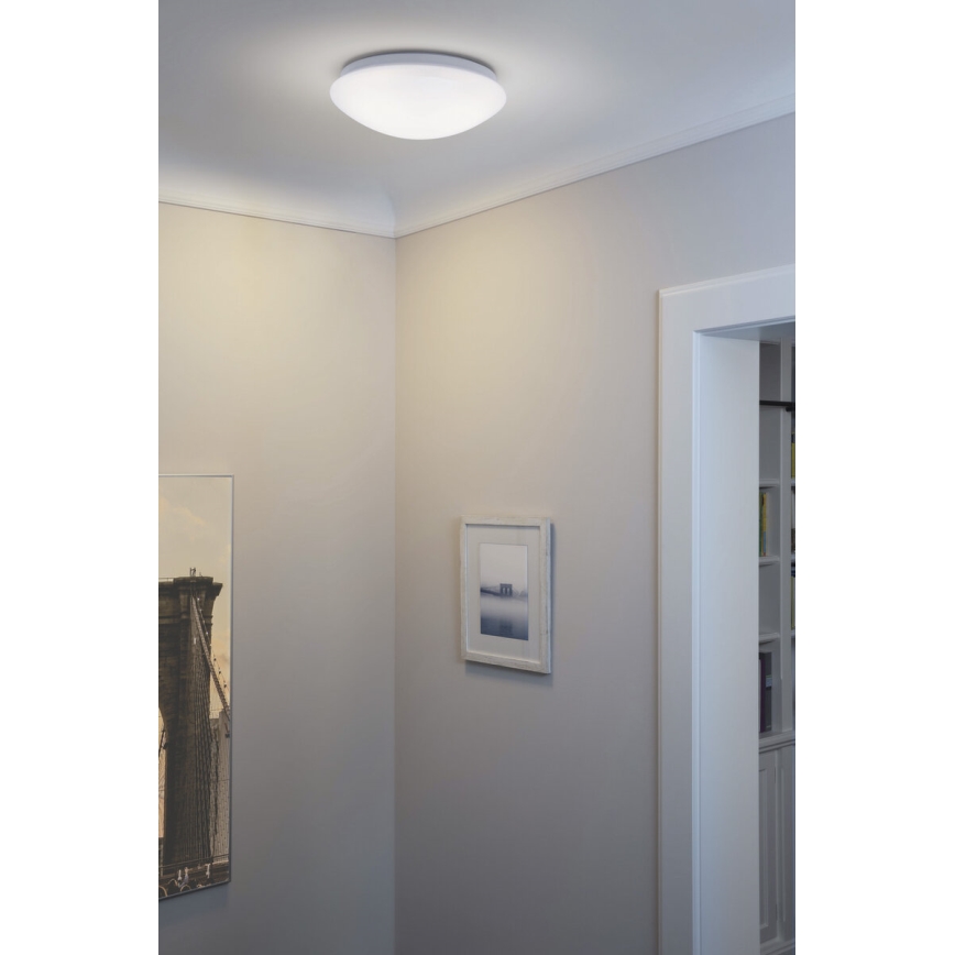Osram - Plafonnier LED ESSENTIAL LED/13W/230V 6500K Ø 25 cm