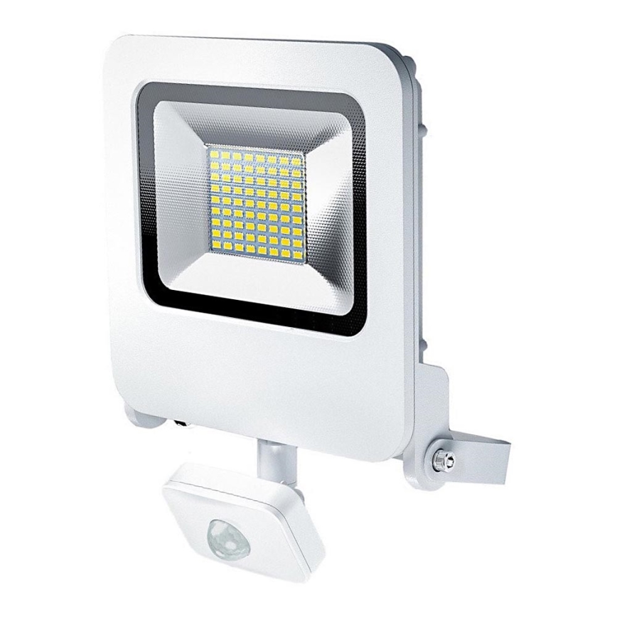 Osram - projecteur LED extérieur avec détecteur ENDURA LED/50W/240V IP44  blanc