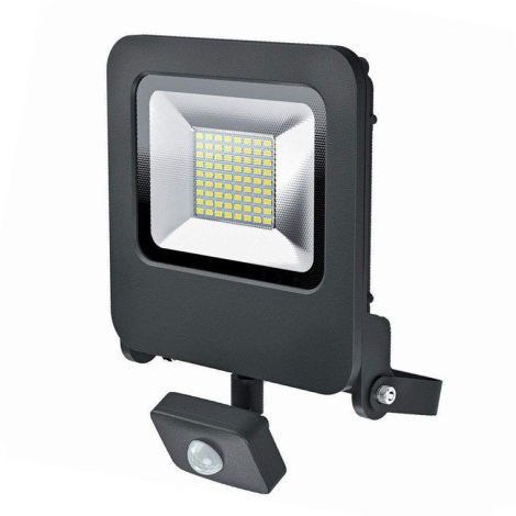Osram - projecteur LED extérieur avec détecteur ENDURA LED/50W