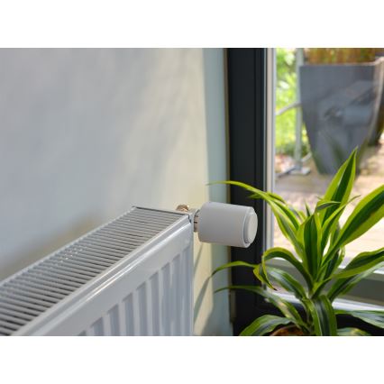 Osram - Tête thermostatique SMART+ (3 piles AA, Wi-Fi)
