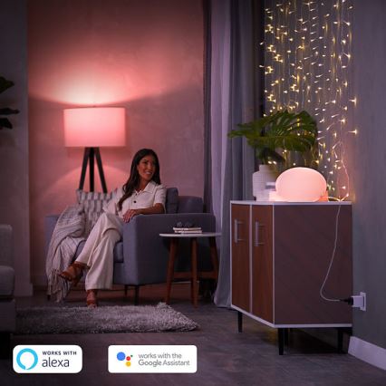 Pack de 2 prises connectées Philips Hue Smart Plug