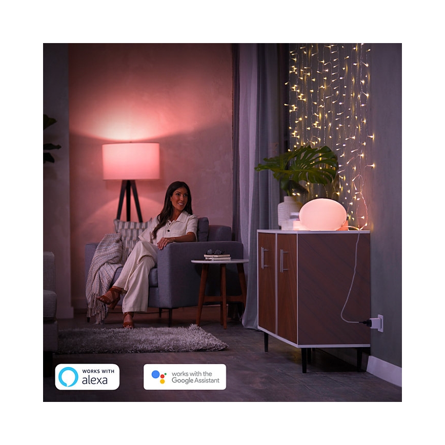 Pack de 2 prises connectées Philips Hue Smart Plug