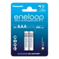 Panasonic - 2 pce Pile rechargeable AAA Eneloop 800 mAh