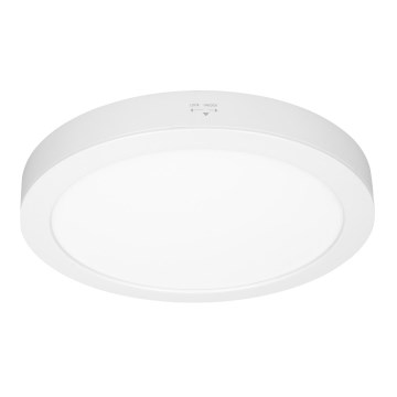 Panneau LED 2 en 1 appliqué/encastré 24W/230V 3000/4000/6000K Ø 30 cm IP54 blanc