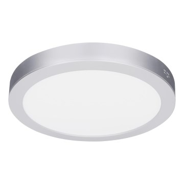Panneau LED 2 en 1 pour montage en surface ou encastré 24W/230V 3000/4000/6000K Ø 30 cm IP54 argenté