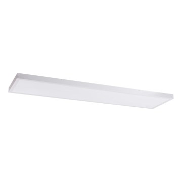 Panneau LED/60W/230V 4000K 30x120 cm blanc