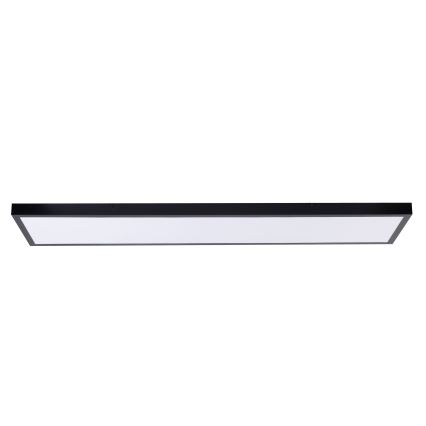 Panneau LED/60W/230V 4000K 30x120 cm noir
