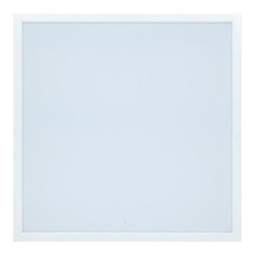 Panneau LED MAXIM LED/50W/230/12V