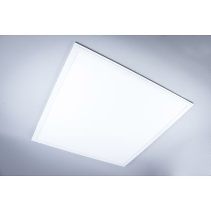 Panneau en saillie pour salle de bains LED/40W/230V 4000K 59,5x59,5 cm IP65 blanc