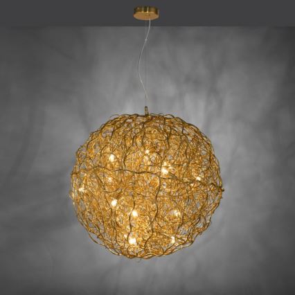 Paul Neuhaus 2019-12 - Suspension sur câble SAREA 15xG9/40W/230V dorée