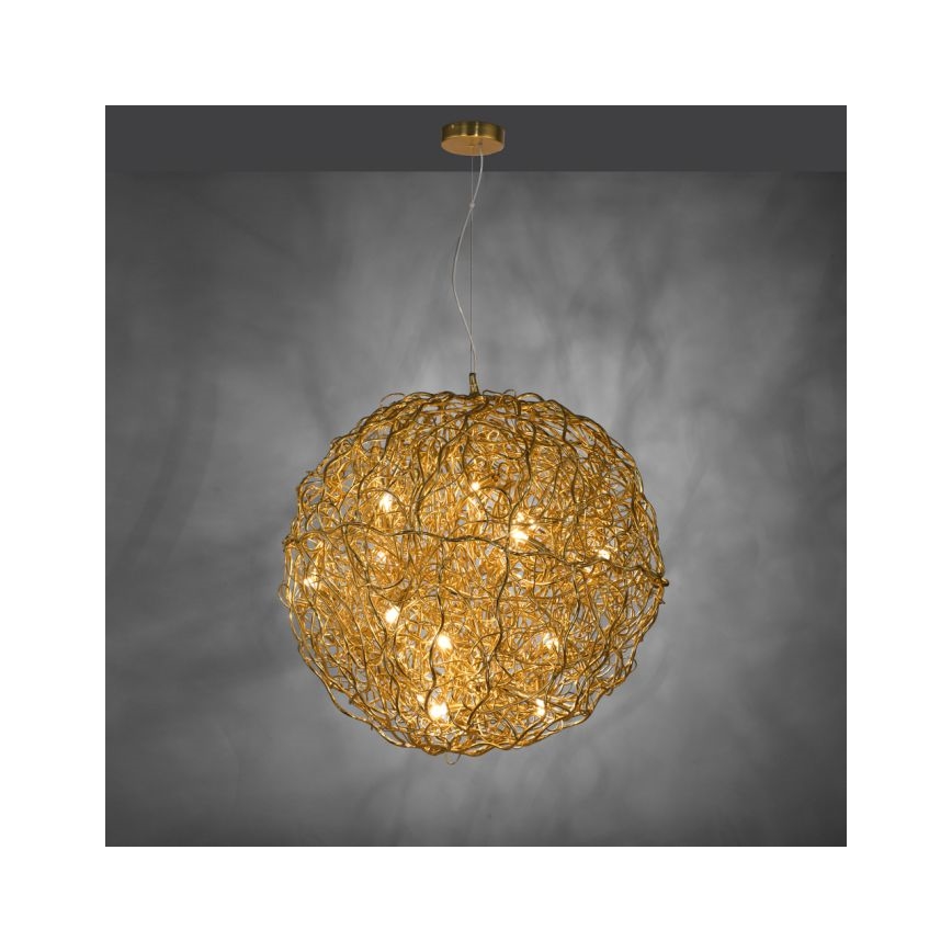 Paul Neuhaus 2019-12 - Suspension sur câble SAREA 15xG9/40W/230V dorée