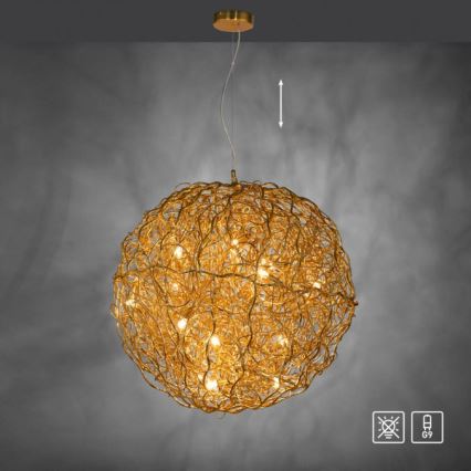 Paul Neuhaus 2019-12 - Suspension sur câble SAREA 15xG9/40W/230V dorée