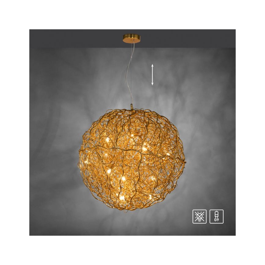 Paul Neuhaus 2019-12 - Suspension sur câble SAREA 15xG9/40W/230V dorée