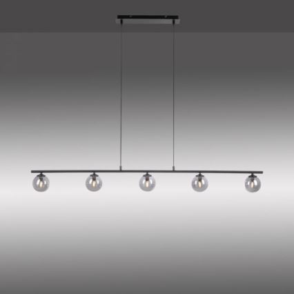 Paul Neuhaus 2026-18 - Suspension filaire LED WIDOW 5xG9/3W/230V