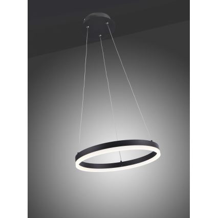 Paul Neuhaus 2381-13 - Suspension filaire à intensité variable TITUS LED/28W/230V