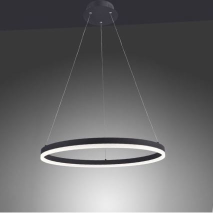 Paul Neuhaus 2382-13 - Suspension filaire à intensité variable TITUS LED/38,5W/230V