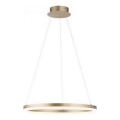 Paul Neuhaus 2382-60 - Suspension filaire à intensité variable TITUS LED/38,5W/230V