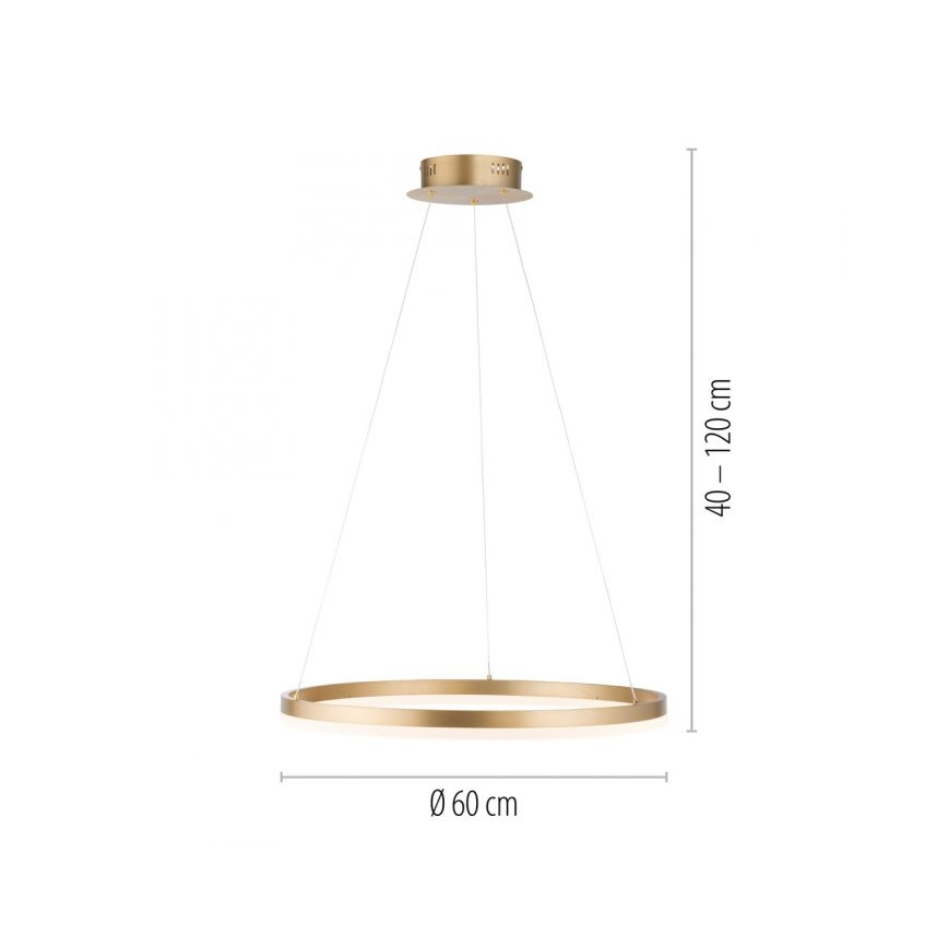 Paul Neuhaus 2382-60 - Suspension filaire à intensité variable TITUS LED/38,5W/230V