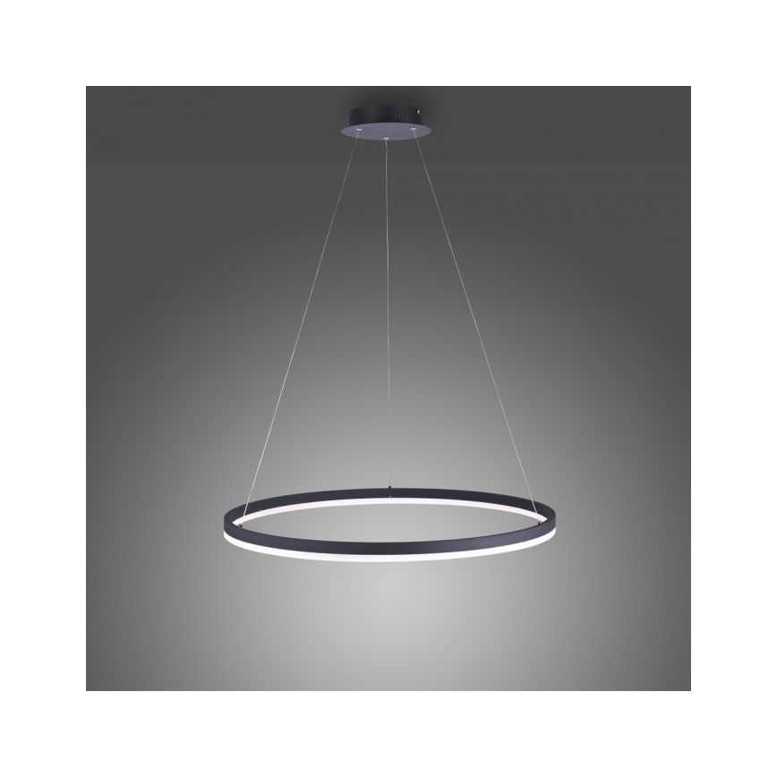 Paul Neuhaus 2383-13 - Suspension filaire LED à intensité variable TITUS LED/50W/230V