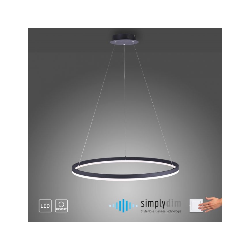 Paul Neuhaus 2383-13 - Suspension filaire LED à intensité variable TITUS LED/50W/230V