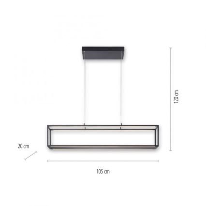 Paul Neuhaus 2441-18 - Suspension filaire à intensité variable CONTURA 4xLED/8W/230V