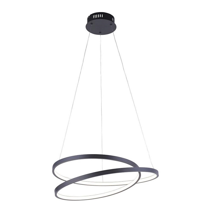 Paul Neuhaus 2472-18 - Suspension filaire LED à intensité variable ROMAN LED/30W/230V noire