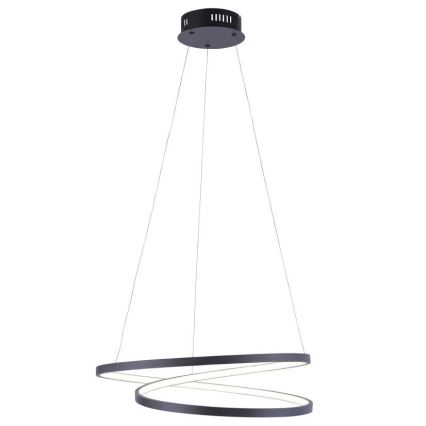 Paul Neuhaus 2472-18 - Suspension filaire LED à intensité variable ROMAN LED/30W/230V noire