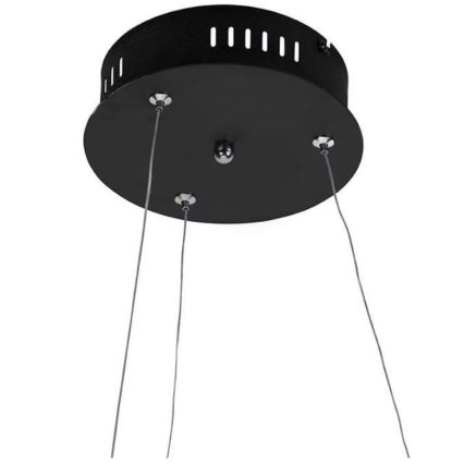 Paul Neuhaus 2472-18 - Suspension filaire LED à intensité variable ROMAN LED/30W/230V noire