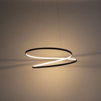 Paul Neuhaus 2474-18 - Suspension filaire LED à intensité variable ROMAN LED/40W/230V noir