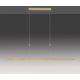 Paul Neuhaus 2568-60 - Suspension filaire à intensité variable ADRIANA LED/14W/230V  2700-5000K laiton