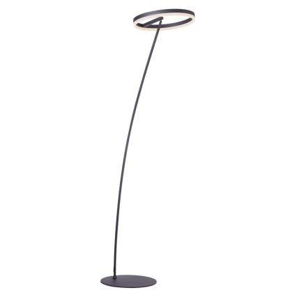 Paul Neuhaus 381-13 - Lampadaire à intensité variable TITUS LED/19,5W/230V