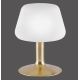Paul Neuhaus 4078-60 - Lampe de table à intensité variable LED TILL 1xG9/3W/230V laiton