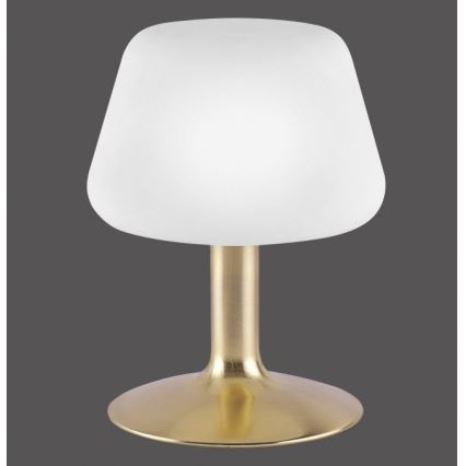 Paul Neuhaus 4078-60 - Lampe de table tactile à intensité variable TILL 1xG9/3W/230V laiton