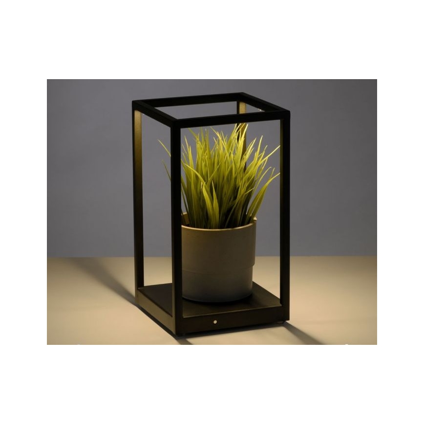 Paul Neuhaus 4401-18 - Lampe de table à intensité variable CONTURA 2xLED/2,2W/230V